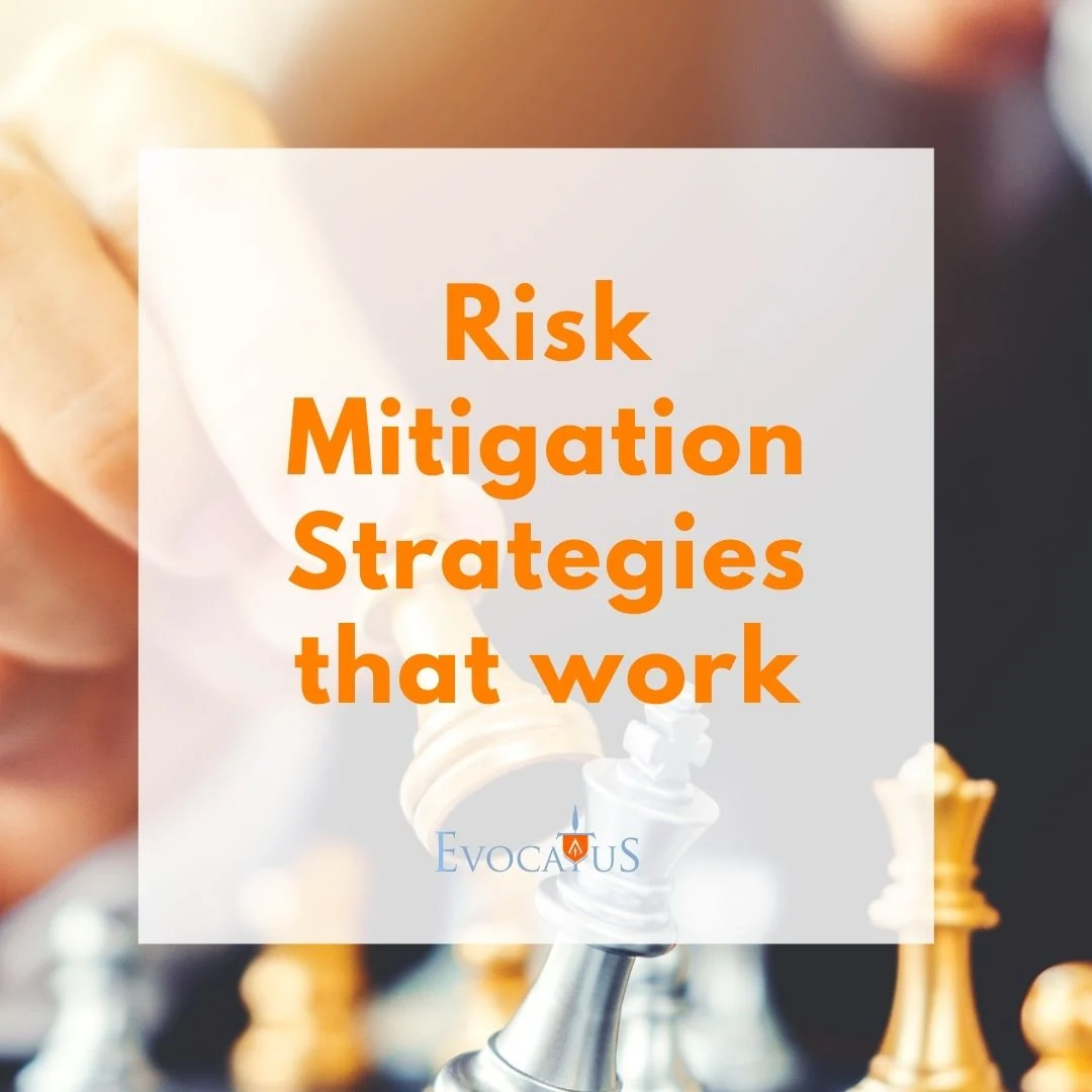 risk mitigation strategies that work